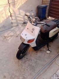 بيكم • فحل • البياع