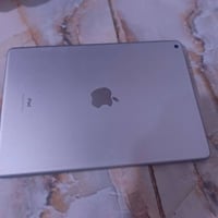 آيباد ٩ ٢٥٦ • فطر خفيف • ٦٠فريم