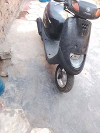 فحل • شاصي مكفول • شغاله