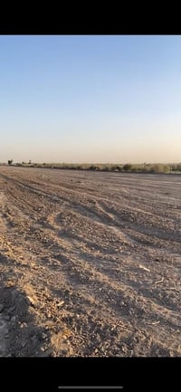 ٣ دوانم • طابو زراعي سند 25 • الفلوجة شهابي ثالثه