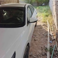 النتره • ٢٠٢١ • أبو السنويه