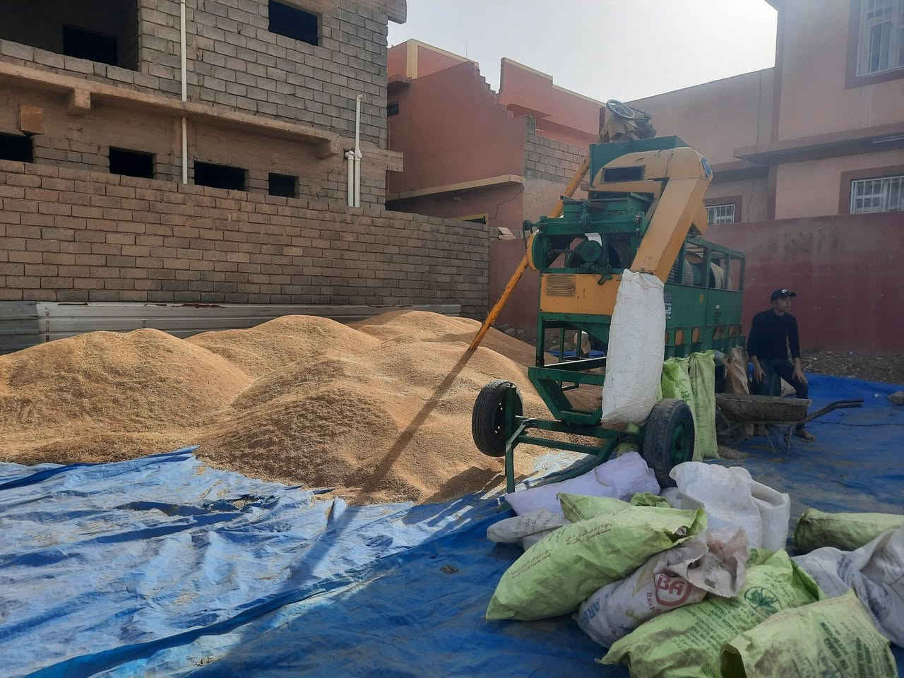 سهل نينوى • معمل متنقل • تنقية وتكييس