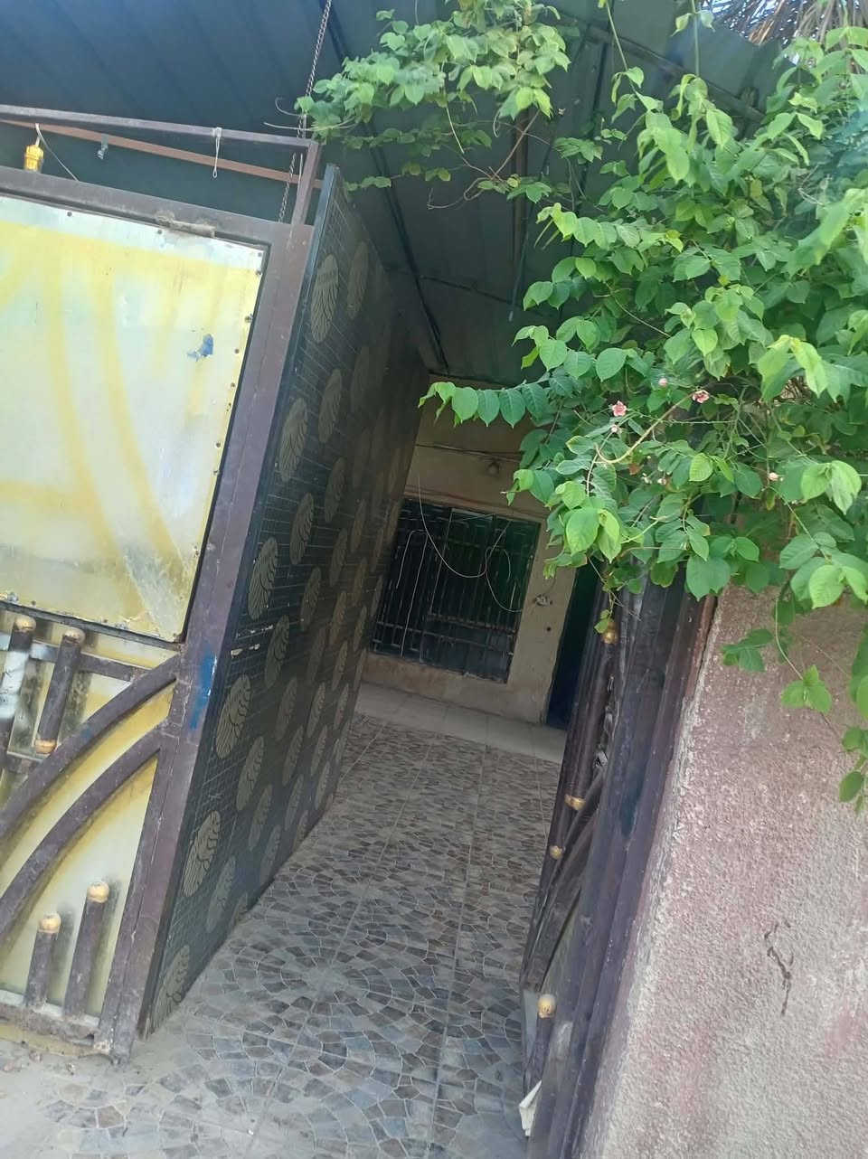 الشاوي • ٢٥٢م • ٤ غرف