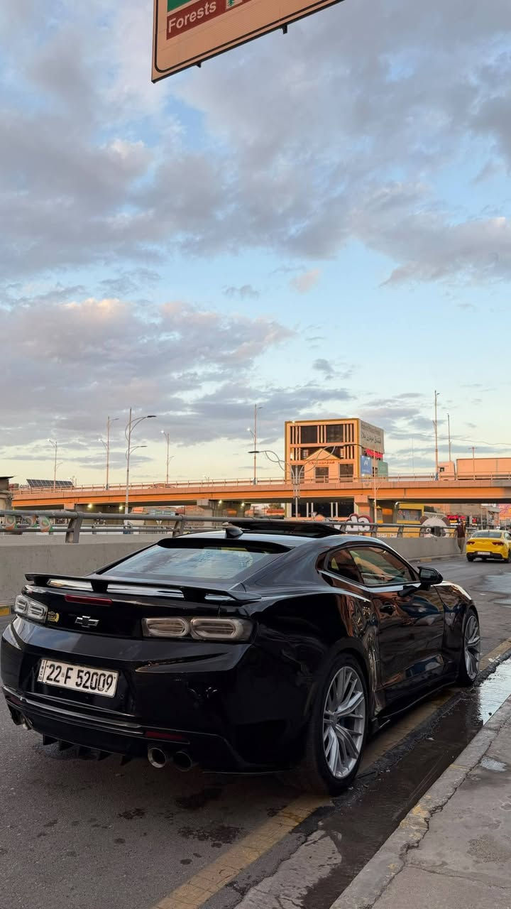 كمارو 2SS • V8 ٦٢٠٠ • بوند صبغ