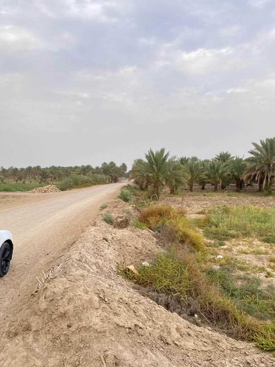 ٢ دونم • واجهة ٤٢م • طابو سند