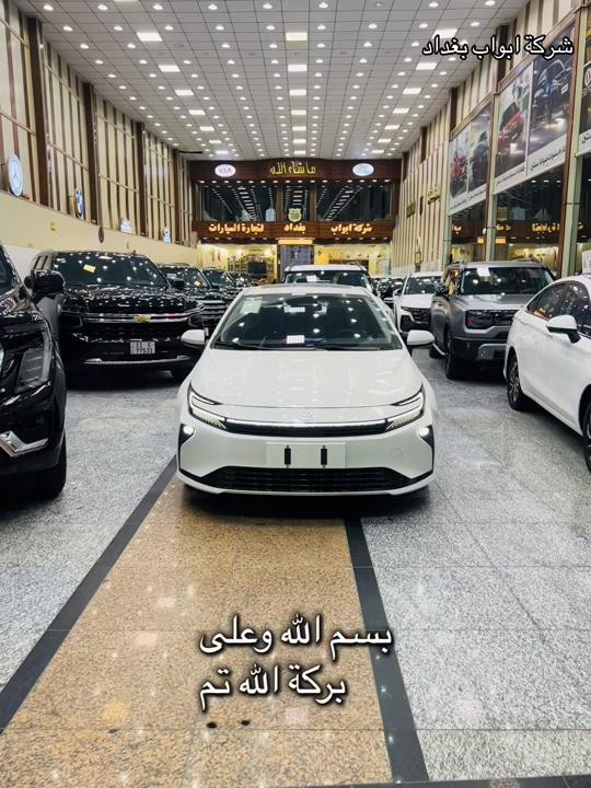 كورلا الشكل الجديد • ٢٠٢٦ • معارض البصرة