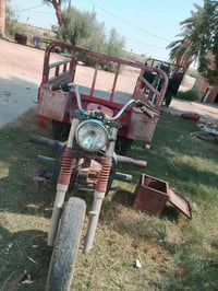 ستوته • دايوان • موديل 14