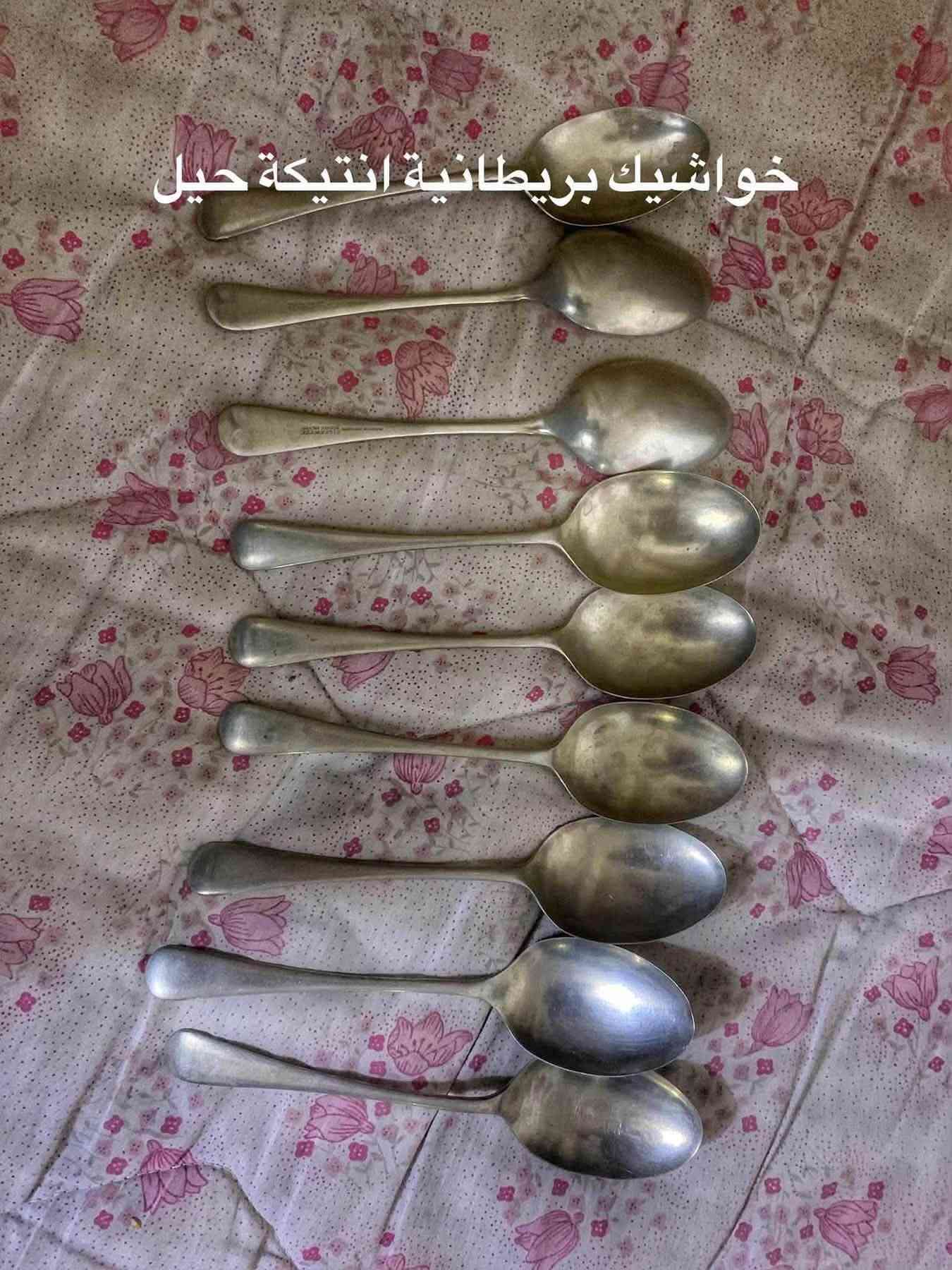 انتيكات • بايركس • حي الجامعة