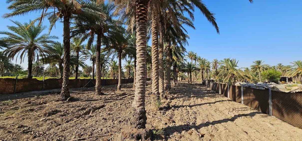 💥 المصداقية سر نجاحنا 💥 الملاك للعقارات كربلاء 
👈 عرض لا يفوت ..... تصلح أي شيء🖼 

💢 دونمين 👈 سند منفرد بأسم شخص واحد فقط الواجهة 28 متر والباقي نزال محدده ومسيجة من جميع الجهات تحتوي على 50 نخله ويحدها نهر سقي 
💢 جميع الخدمات متوفرة 👈 تبليط _ نهر سقي _ ماء أساله 

💢 العنوان// كربلاء _ الجذار _ شارع النجف عمود 1141 وتنزل مسافة كيلوين ونص تقريبا تبعد عن الإمامين عليهم السلام 11 كيلو تقريبا 

💢 السعر = علق ب ( يا أبا الفضل العباس عليه السلام )
#لكن_غير_مبري_الذمه_من_يأخذ_حقنا 
🎬الفيديوا بالتعلقيات يوضح الموقع 👋
 

🔴عندك عقار للبيع و محتار  يم الملاك لا تحتار سهله ما عليك سوى التواصل معنا : 

☎️ ***********          ☎️ ***********
                  محمد أبو ملاك الحسناوي 

زوروا موقعنا : مكتب أملاك الخير _ شارع الرابط _ مقابيل المعمل المقرنص
