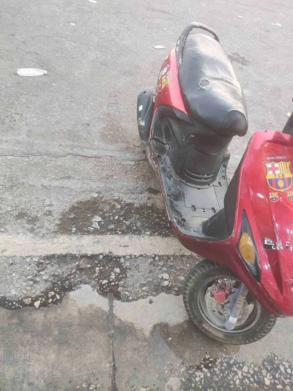 فراشه فحل للبيع مامفتوحه للليع نكره سلف سعره 275 نجف حي السلام *********** اتصل غير متواجد عل نت
