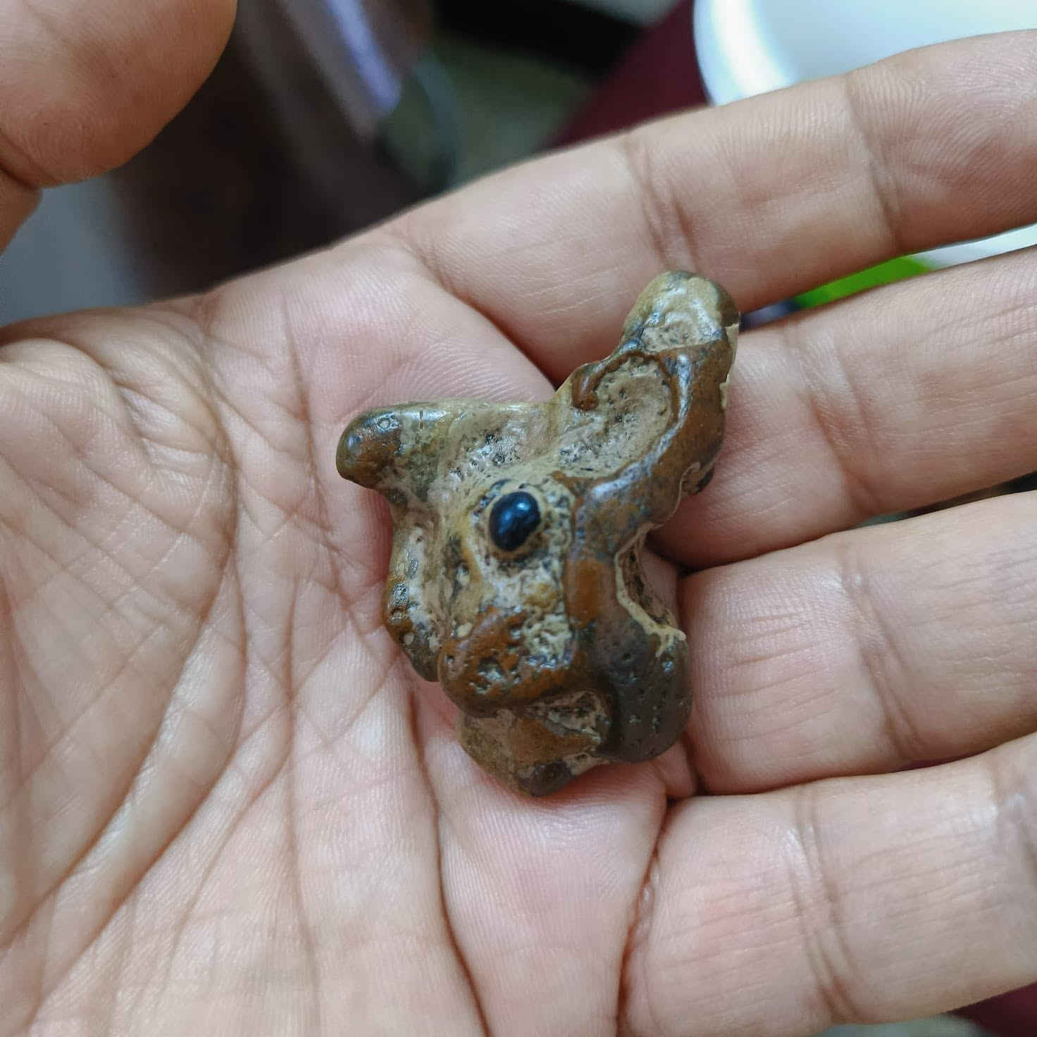 احجار ملاكط النباعي ذمه 
يوجد توصيل لجميع المحافظات 
***********
