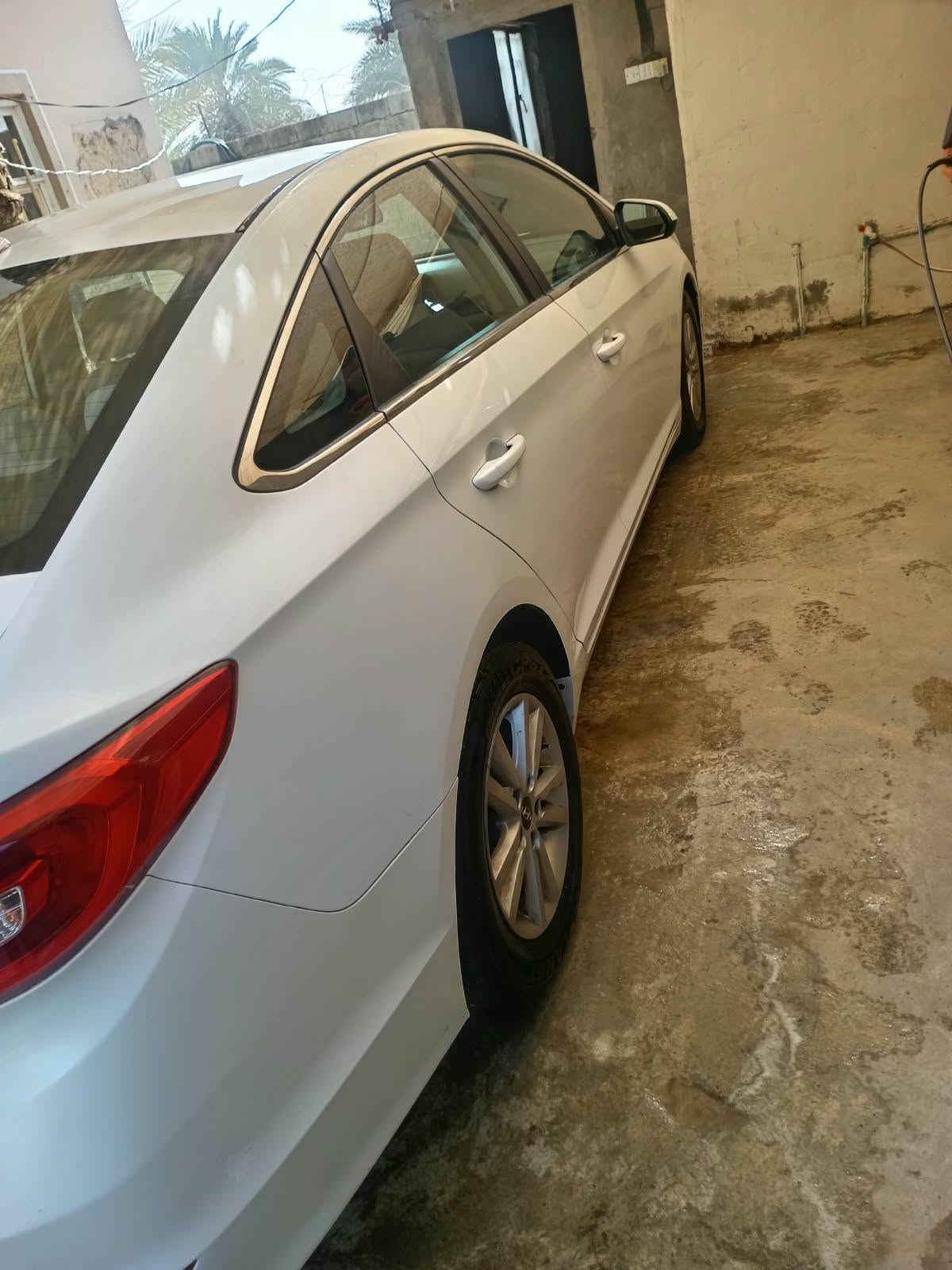 سوناته ٢٠١٥ • وارد امريكي • ديالى دلعباس