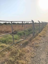 اليوسفية • دونم • سند ٢٥