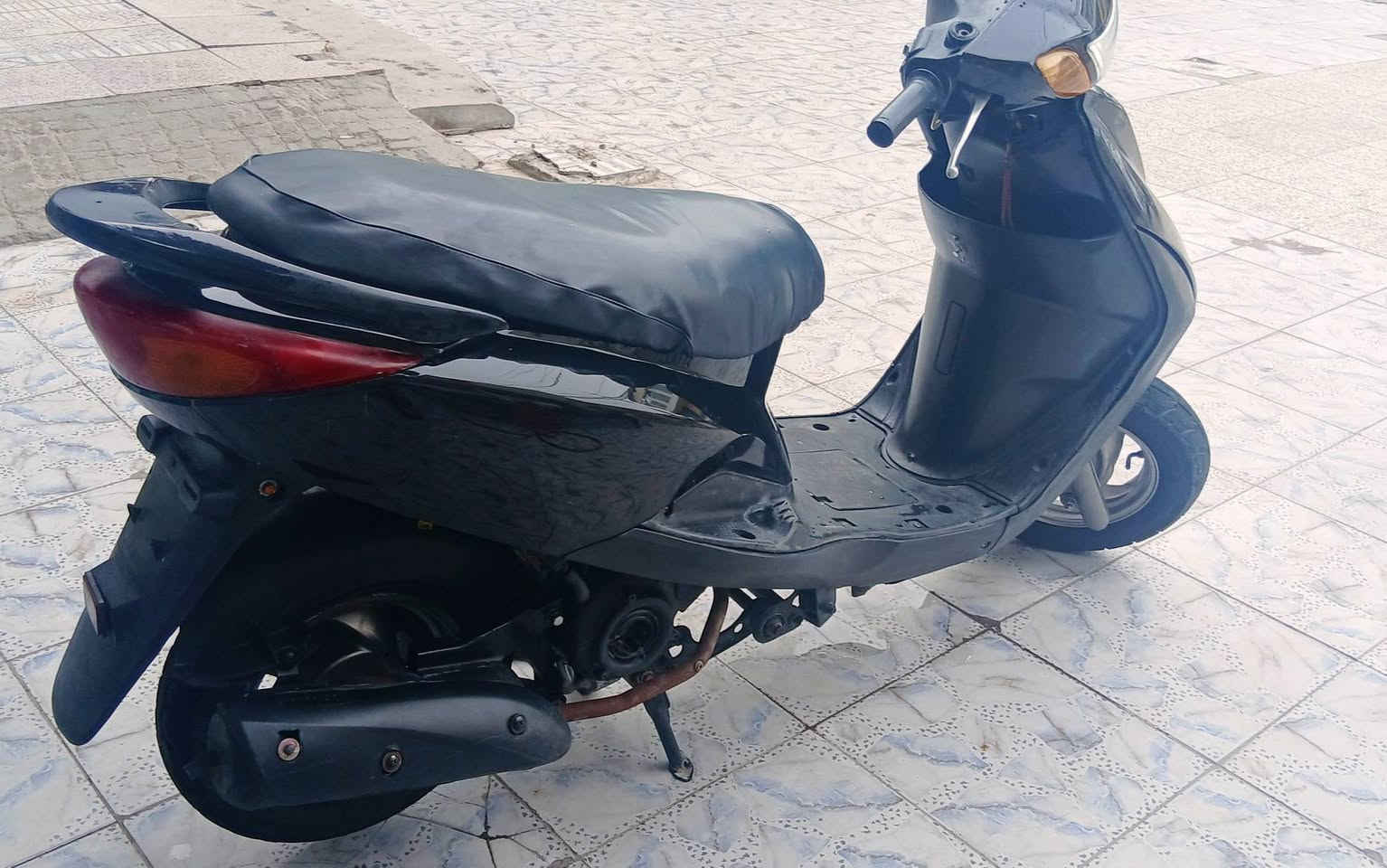 بغبغاء • مجفته • جاهزه