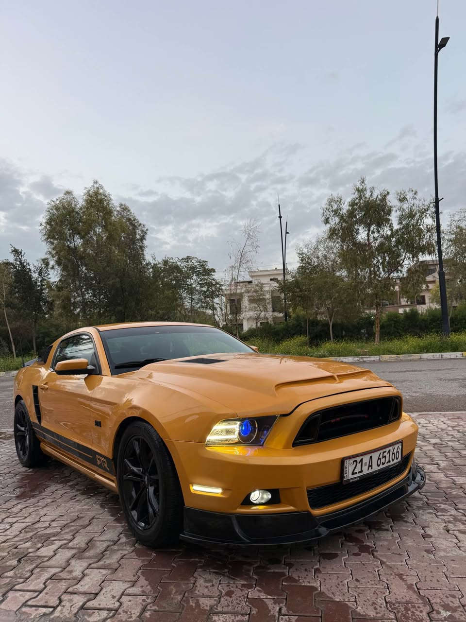 للبيع او مراوس مع 4 بوب حسب قناعه 
فورد موستنگ (Mustang 3700 V6 2012) ❤️🔥🇺🇸
شركة نيفا فورد 
موديل 2012 محدث بالكامل 2014 
لعشاق مميز (لون مميز اصفرّ كولد 💛🇺🇸)
تبريد ثلج تدفئة شغاله 
عليه إضافات/ سيتم زينون بل كامل - لدات دعامية -لحيه RTR 🇺🇸جلاتين لاماعي- سكوبات جانبي سيرفيني 🇺🇸-
شباك شلبي🇺🇸- دعاميه 🇺🇸RTR -بونيت نفخ 4 سكوبات -🇺🇸جناح RTR🇺🇸
اكزوز نوع H2 Power 🇺🇸فتح وقفل كنترول  بالأكزوز الأصلي  
تايرات جديد وياله جديد لا عراج ولا صبغ بلادي
كفالة كير ومكينة
تحكم ستيرن
شاشة 📺 كامره 
شاشة تدعم كار بلاي
صدر السيارة جديد والسيارة عليها ادامة كاملة

ملاحظة / بجم كبس خلفي كبس شرط دواخل شرط شواصي شرط ايرباكات فقط صبغ جهتين اثر شخوط 
رقم سليمانيه السنوية باسمي كله جديدة

الموقع: كركوك 
للاستفسار *********** واتساب 
شراي خابر وتدلل كركوك, العراق
