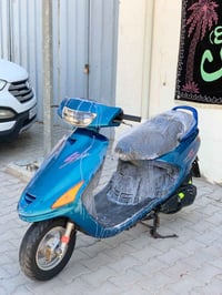 دراجة فراشة • ما انفتحت • النجف