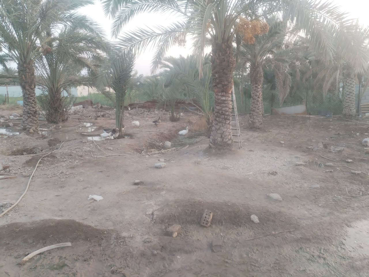ابي الخصيب • ٨٠٠م • نهر جاري