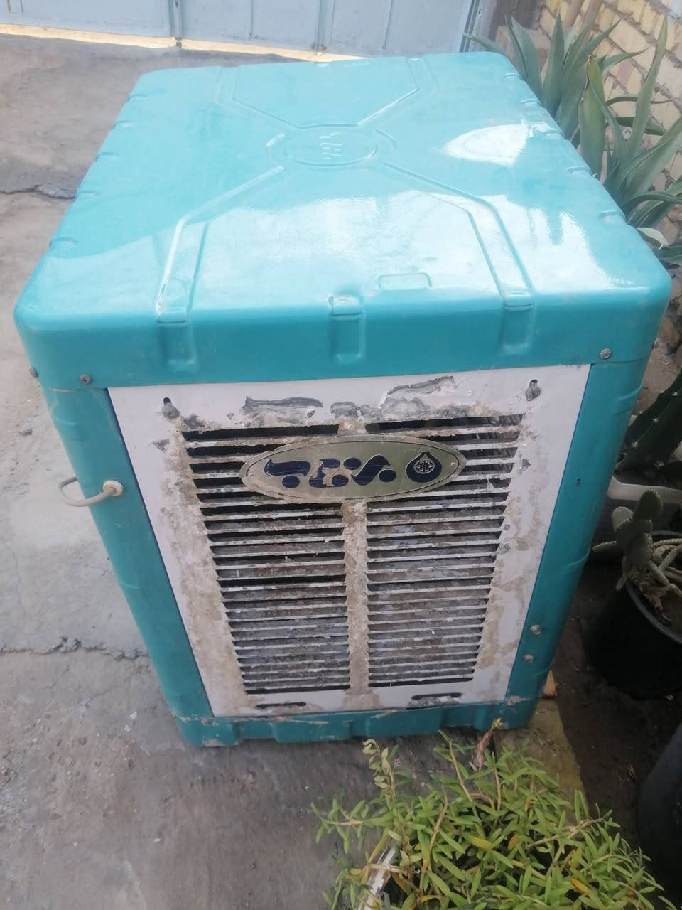 مبرده • شغاله • للبيع
