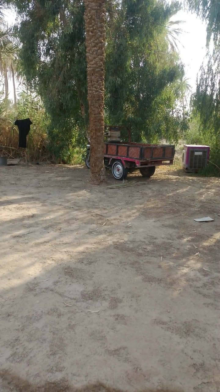ستوته • مديل ٢٠١٤ • نضيفه