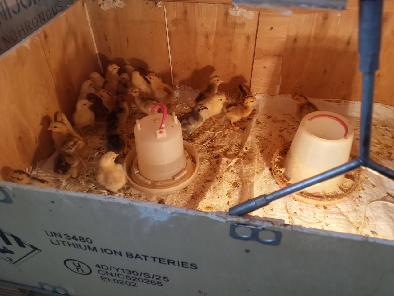 سلام عليكم يوجد فغاسه للبيع شرط التفغيس السعر65ومجال***********
