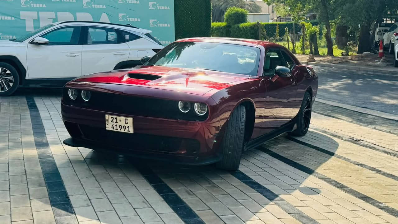 سلام عليكم دوج جالنجر
5700 RT 
موديل 2022
وارد امريكي حادثها جاملغ وبنيد بدون دواخل بدون شاصي تصليح براس اللغد شي كلش بسيط بدون قطره صبغ تبديل بنيد وجاملغ اصلي نفس اللون الاضافات 
سنويه وارقام وهزه جديده ثانيوم تحويل 
ماشيه 77Km
 1-اويل كاج كان
2-شاشه جبيره 
3-كشنات جلد 
4-لايت زنون 
5-داون بايب 
6-تفريغ وبرمجه 
7-لحايه كامله
8-السياره مطلعه 435 حصان على داينو 
9-اكزوز وبوابات 
10-بلكات ريسنك 
تخم تاير جديد
صدر امامي خلفي جديد
فلنجات ودسكات جدد
سعرها 190$ وبيها مجال بسيط 
بغداد. الغزاليه ***********

