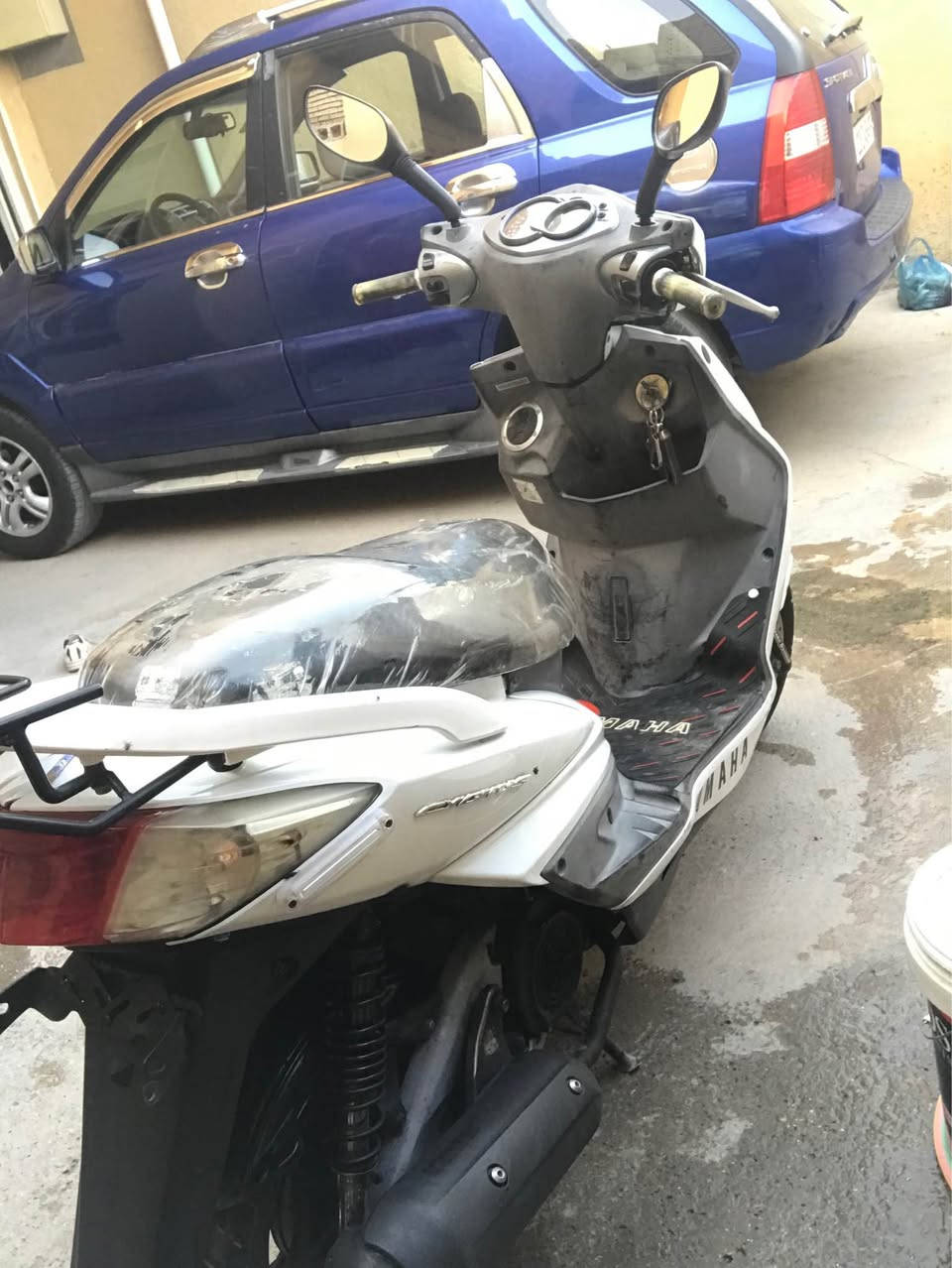 سكنس فحل 140 كفاله عامه قبل 5 اشهر نازله رمبه الله يشهد جيب وياك فيتر وتعال إذا بيهه عيب تاخذهه ابلاش سعر مليون مكاني محموديه *********** بغداد, العراق
