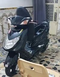 سكنس فحل • خمسيني • مكفول
