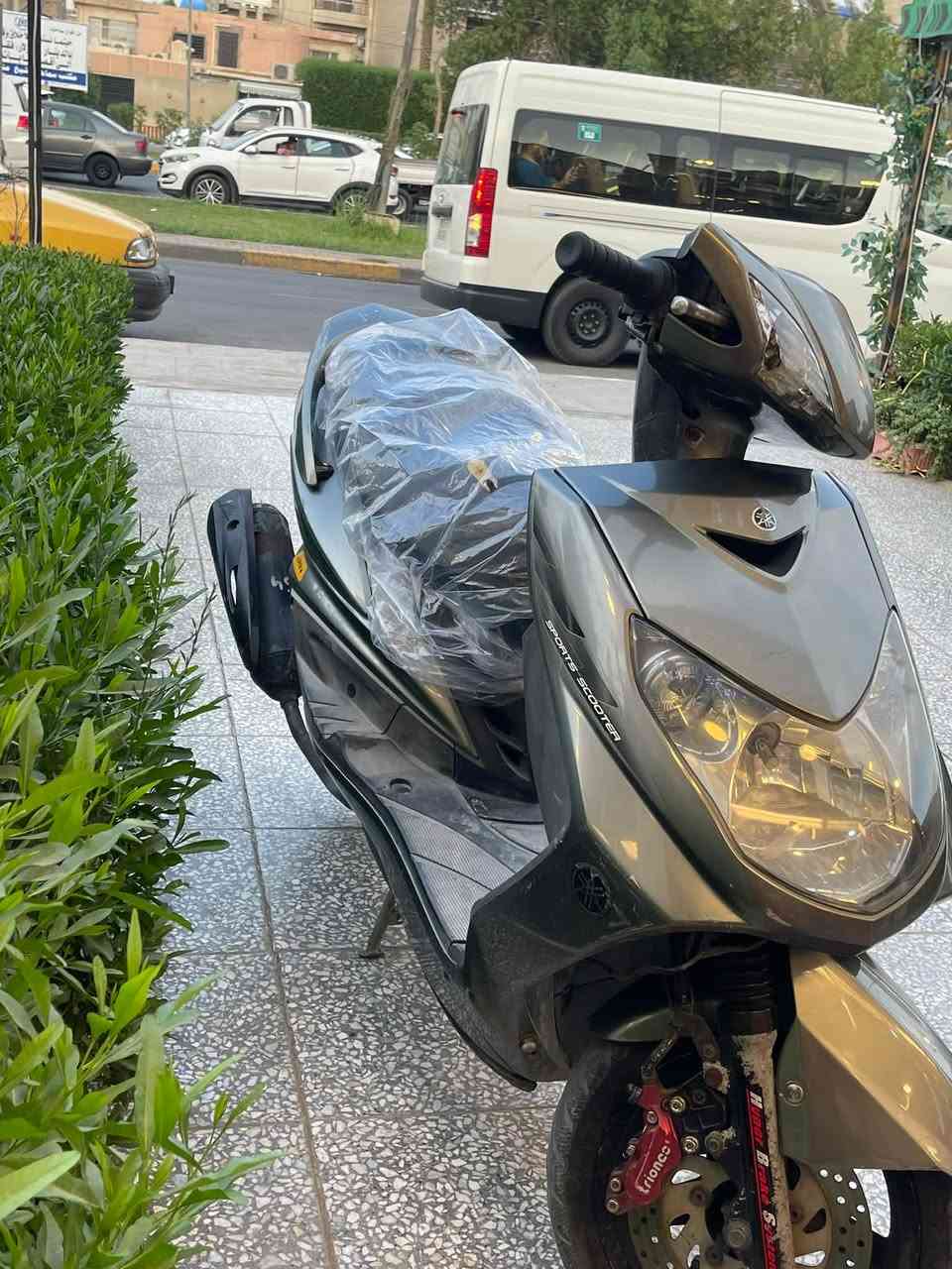 سكنس فحل • كابريتر • بلادي