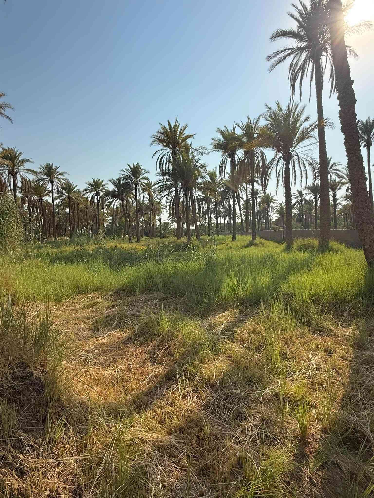 قطعه ارض للبيع العنوان كربلاء طويريج خلف البانزين خانه مال ابو جوعانه سند ٢٥  المساحه ١٣٤٠متر (واجهيه٢٠م*نزال٦٧م) للأستفسار الاتصال على الرقم التالي *********** رجاً الموشراي لايتعبني

