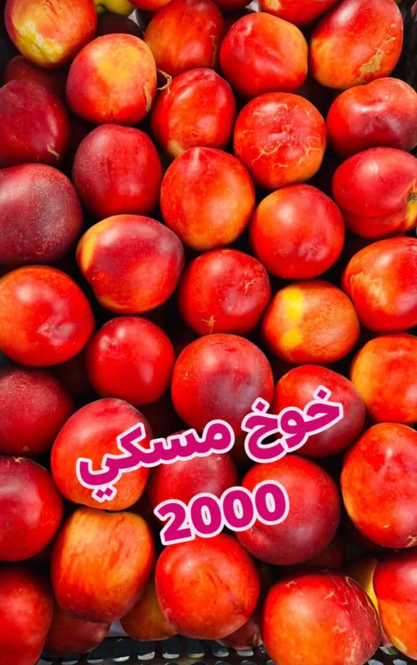 علوة بركات بسماية • خضار وفواكه • توصيل