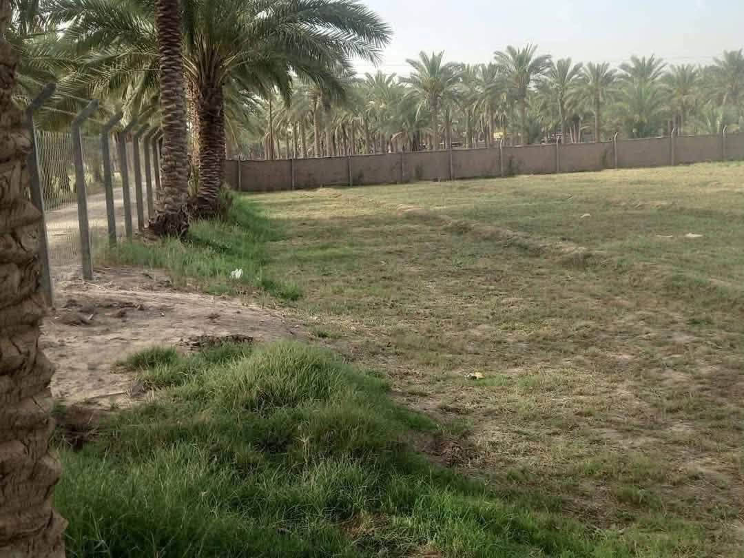 دونم للبيع موقع مميز جدا على الشارع العام المحاويل بين بيت أبو الطياره والبانزيخانه
مواصفات الأرض طابو زراعي سند 25 واجهة 25 متر ونزال 100 تحويل مباشرة من المالك في طابو المحاويل ًً،،،متوفر كل الخدمات ماء أسأله ونهر سقي وكهرباء وتبليط ومسيجه ومزروعة عدة أصناف من النخيل 

الأرض تصلح للاستثمار السكني والتجاري لموقعها المميز على الشارع العام حله بغداد 

قريبة جدا على المدارس والأسواق والمستشفيات ودقائق ايضاً عن الكراج الموحد وقريبة من طريق مطار كربلاء المقدسة الجديد 

الاستفسار والمعاينة والسعر يمكنك التواصل عبر الرابط الخاص 

***********

ومكتب البوظيف بإدارة الشيخ حسين علي الصالح 

https://api.whatsapp.com/send/?phone=201040175849&text&type=phone_number&app_absent=0&wame_ctl=1
