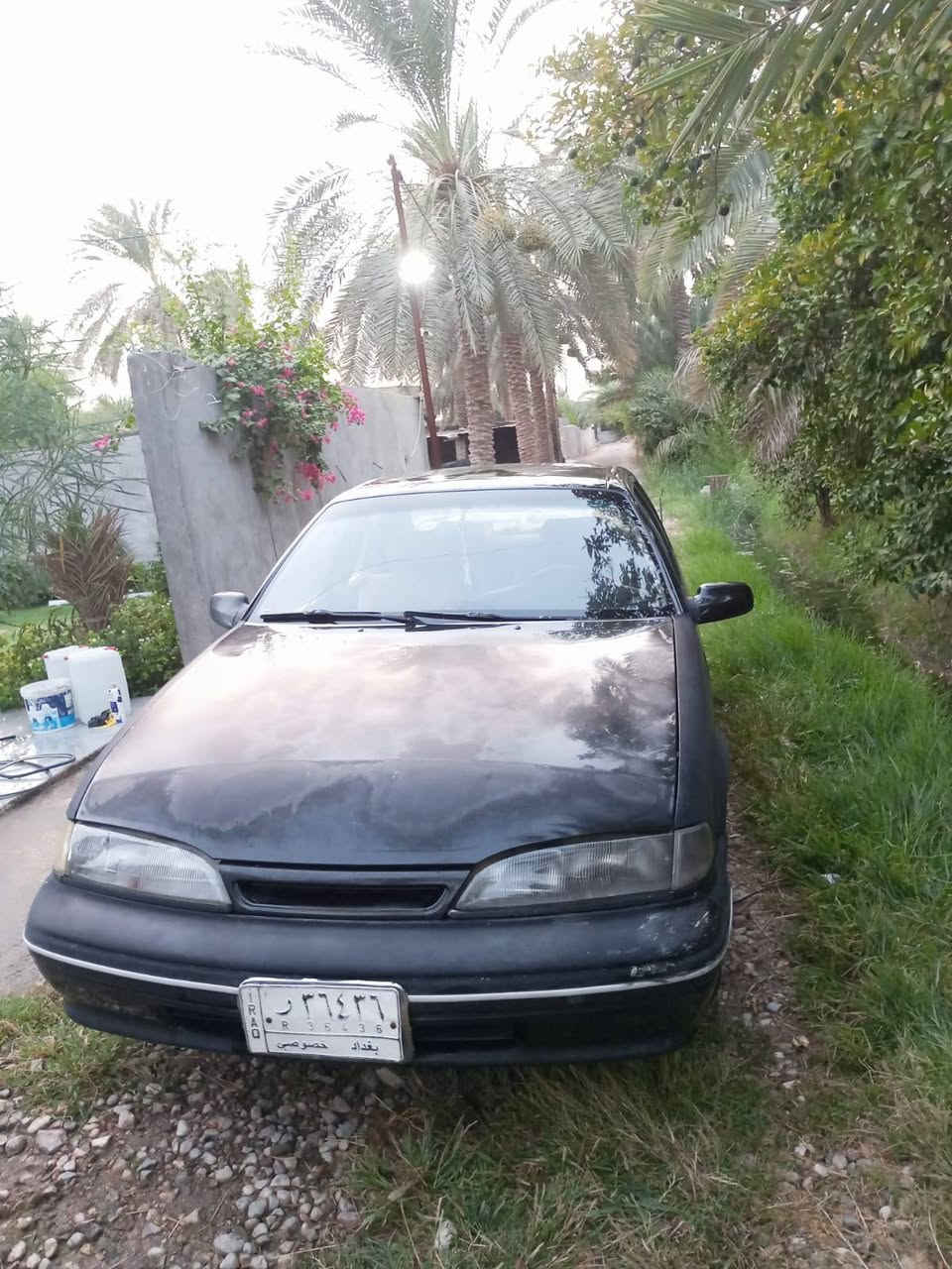 سلام عليكم  بكلف بنشر  دايو برنس للبيع موديل 1993..  معروضه 35  وبيهة مجال  رقم بغداد مشروع وطني  سنويه  نافذة 2028  مكان السيارة واسط قضاء الصويره الشجيرية باقي تفاصيل الاستفسار اتصال صاحب  سياره ***********
