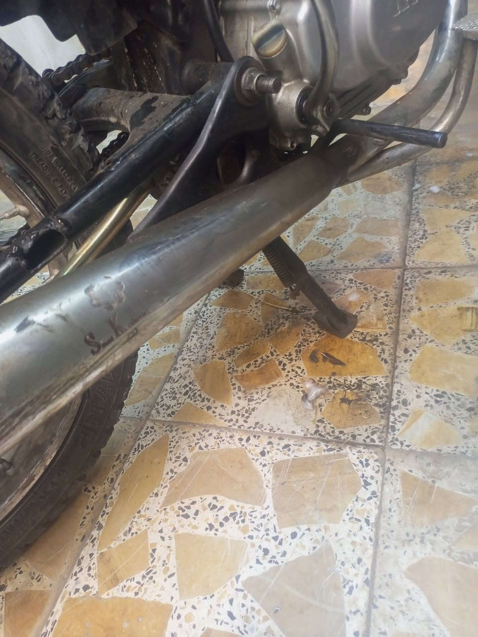 مراوس • باكستاني • كاتم