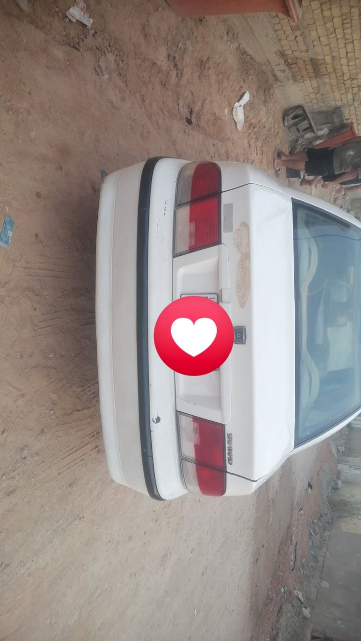 سمند • ٢٠١٠ • الديوانية