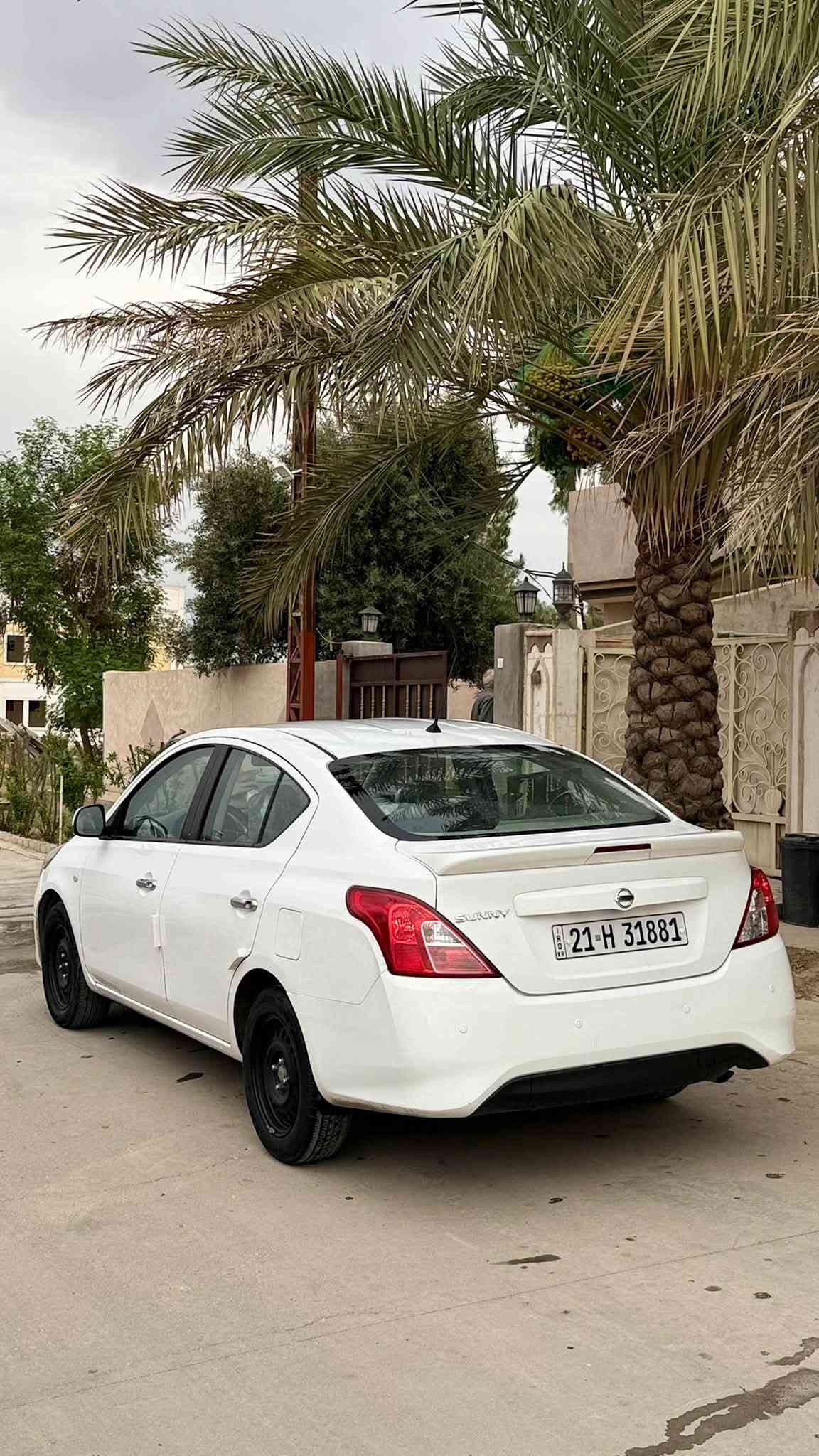 صني هندي • ٢٠٢٢ • بليتة الزركة