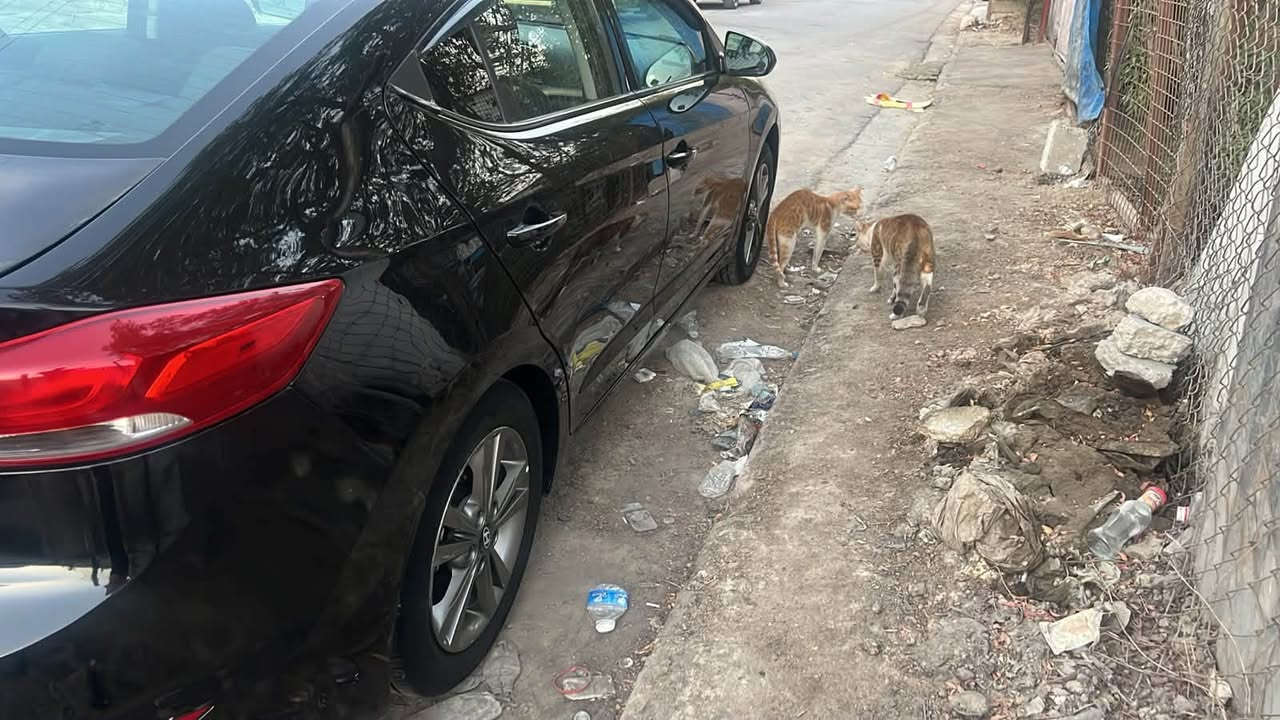 سلام عليكم الانتره مديل ١٨ تبديل بس بنيد بدون يرباك صندوك بي صبغ مكان بغداد سعر ١١٠ بيه مكال رقم بغداد ***********بيع او مراوس
