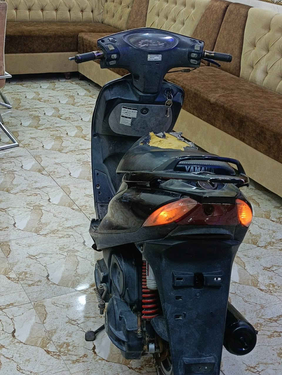 ماكس ثعلب • مامفتوح • نضافه