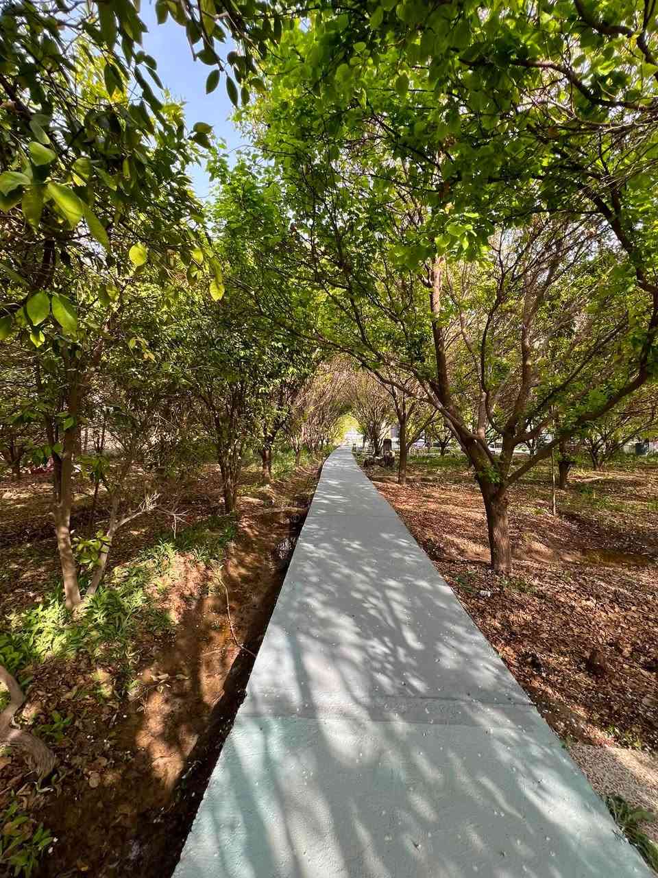 🏡🌳—مزرعة الظِلال العائلية—🌳🏡
               المزرعة للاعداد القليلة 
 موثقة بتطبيق اجرلي ✔️ . 
النظافة 💯 وتبديل ماء المسبح بعد كل شفت 🏊‍♂️ 
كهرباء وانترنيت24 ساعة ⌚️ 
العاب بليارد 🎱 منضدة 🏓 ترامبولين. مراجيح.ريشة🏸
العنوان:بغداد التاجي 15 دقيقة عالكاظمية 
تابعوا حساباتنا نسوي عروض خاصة🔝
للاستفسار واتساب ‭📱***********‬
