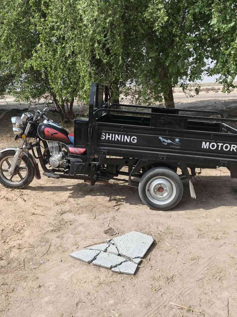 ستوته • ٢٠٢٤ • مكفولة