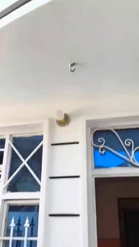 مدخل الحسينيه • شارع المعرض • ٧٥م, طابق واحد
