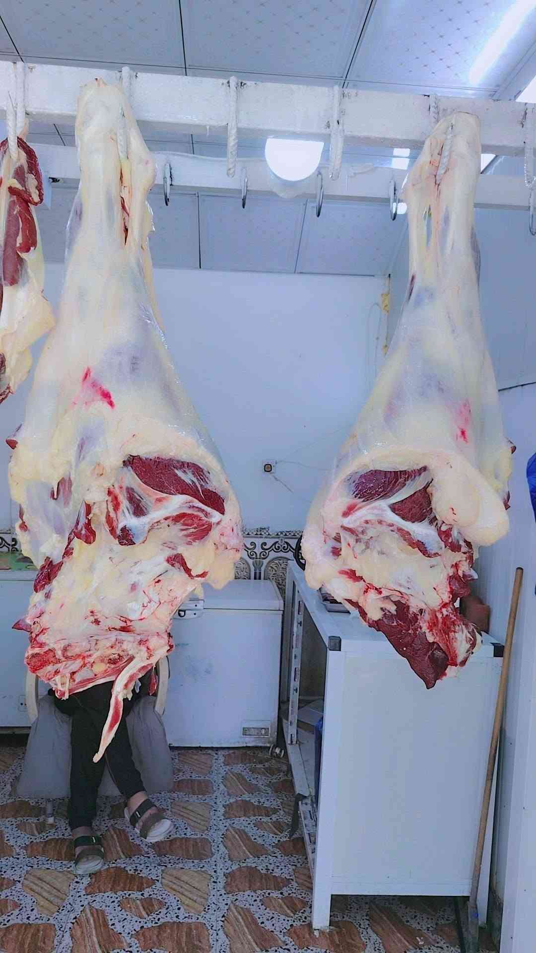 طلي خالص • مثروم • شارع ابو النسوره