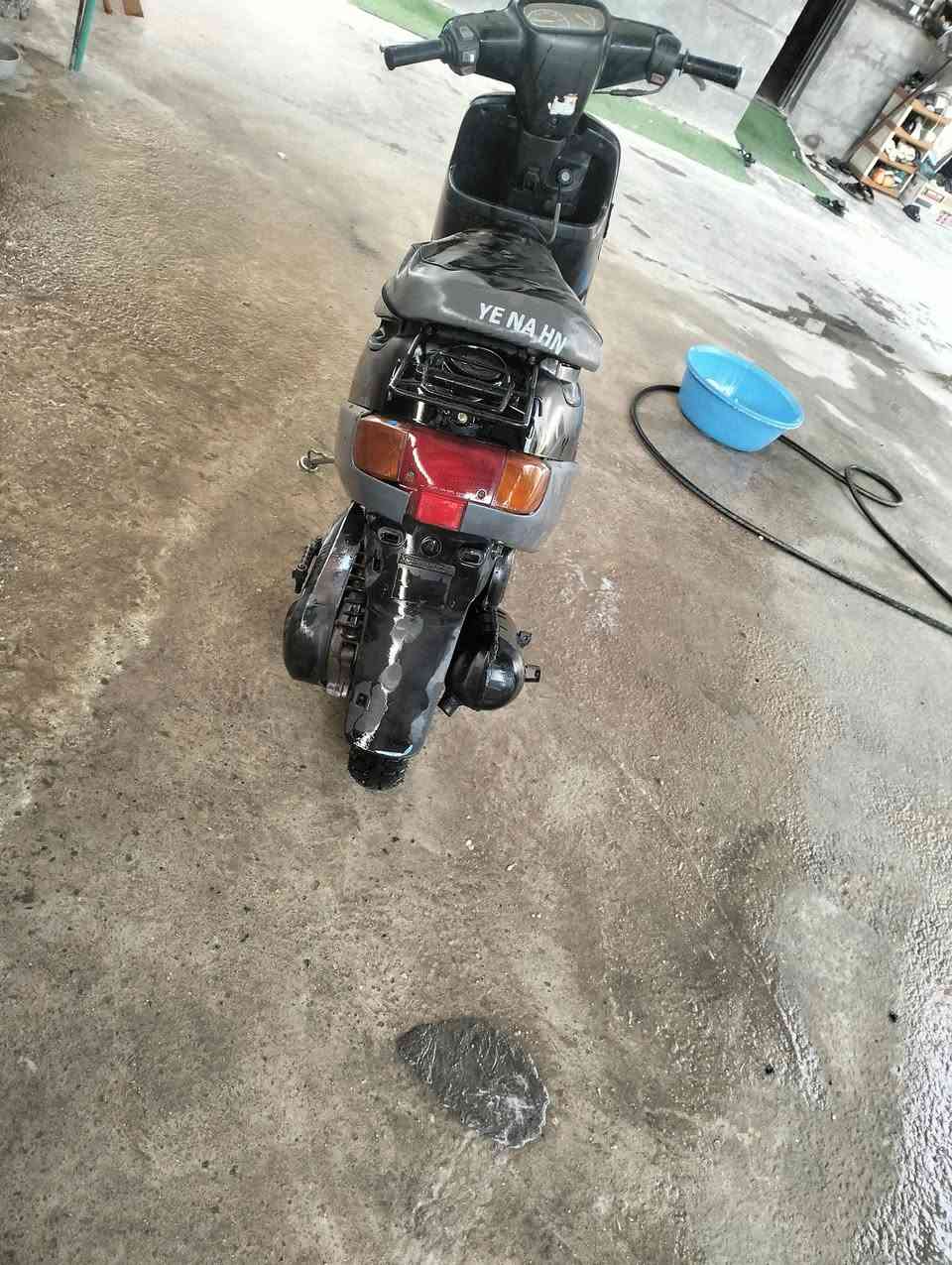 بطة • ٢٠٠٠ • جديده