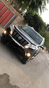 ٢٠١٤ • ٤ سلندر • قضاء رانية