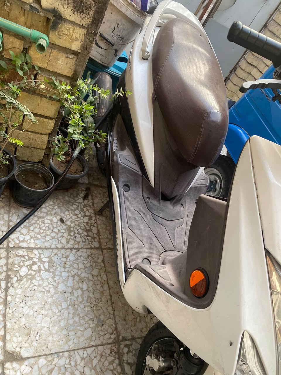 سكنس • للبيع