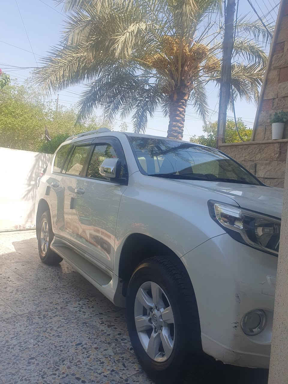 برادو موديل ١٤
٤ سلندر 
كفاله عامه بدون قطره صبغ ولا بارد 
مكينه كير تبريد كفاله عامه 
تخم تاير ياباني 
رقم بغداد بسمي رقم لجديد نكليزي 
سعر ٢٨٠ وبيهه مجال لشراي 
***********
مكان السياره بغداد الكرخ
