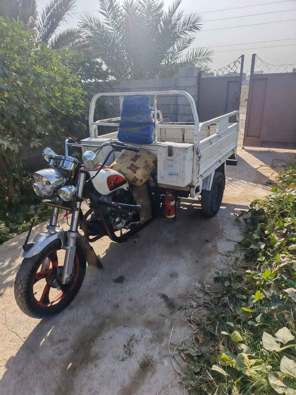 ستوته • فحل شمالي • ٢٠١٦