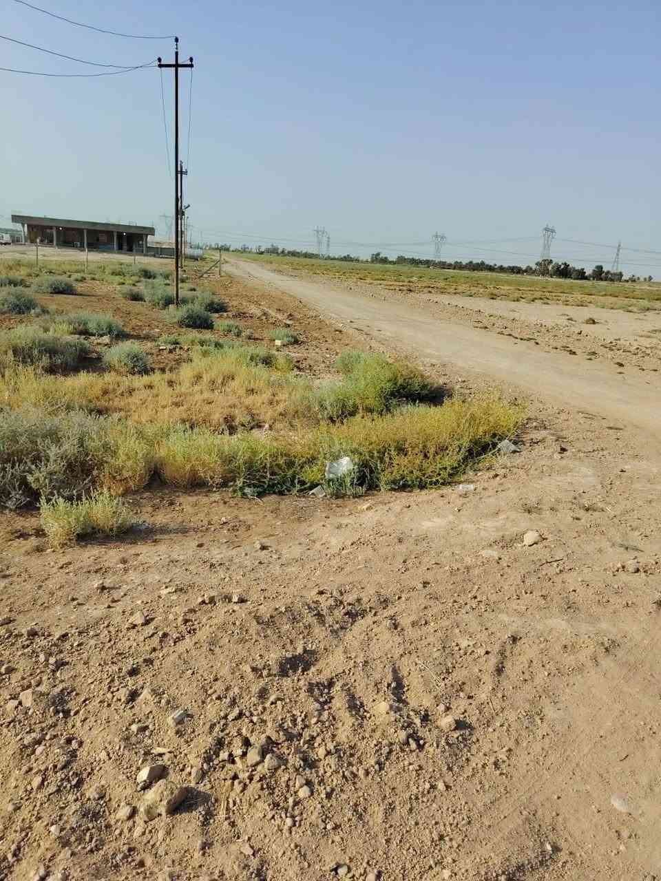 :
​🌱 فرصة ممتازة للأستثمار الزراعي والترفيـهي! 🌱
​دوانم للبيع بموقع مميز وتجهيز كامل، ترهم وتصلح لتكون مزارع ترفيهية أو استثمارية:
​الموقع: بسماية - قرية 10 (تبعد عن الشارع الرئيسي المبلط 100 متر فقط).
​الخدمات: متوفرة بالكامل (ماء سقي + كهرباء + ماء إسالة).
​جنس الأرض: عقد 117.
​المواصفات: أرض كلش حلوة وتربتها ممتازة.
​📞 للإستفسار والتواصل: [***********]
