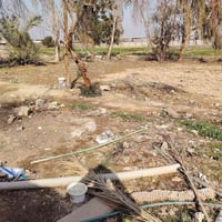 بلحميديه يم ساده • ٥٠٠م • واجهة ٢٥ نزال ٢٠