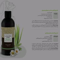 بكج تساقط شعر • شانبو • فعال ١٠٠٪