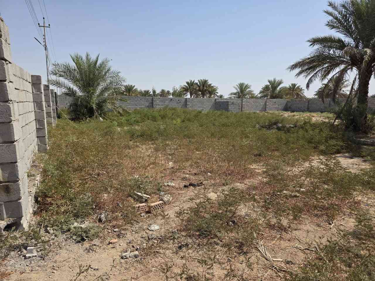 نص دونم للبيع طابو عل ٢٥  بمنطقت العثمانيه ام العظام وهذا رقمي ***********
